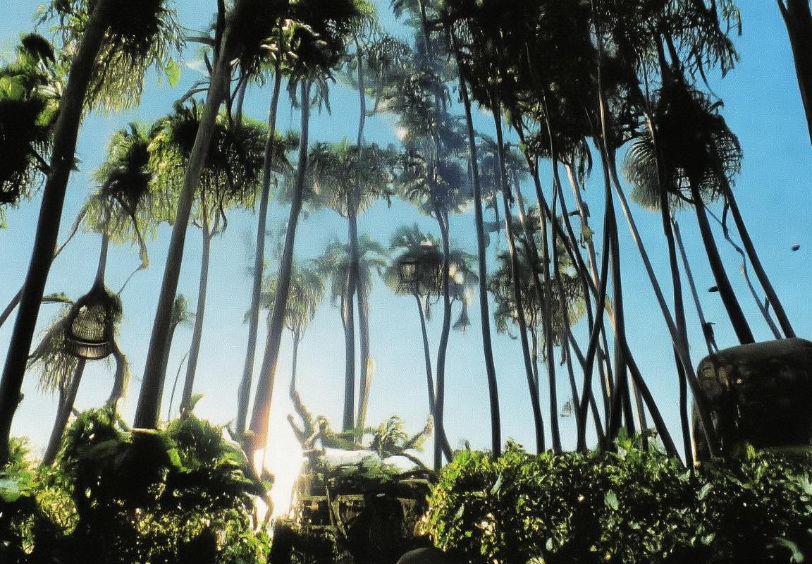 弗拉霍维奇：足坛新星崛起之路与未来展望